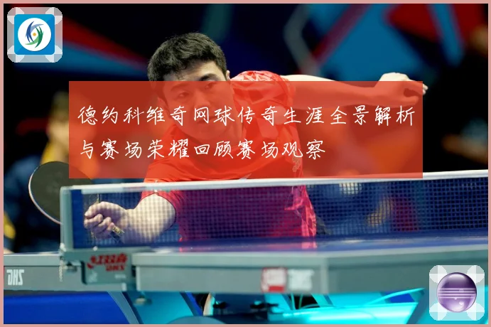 德约科维奇网球传奇生涯全景解析与赛场荣耀回顾赛场观察