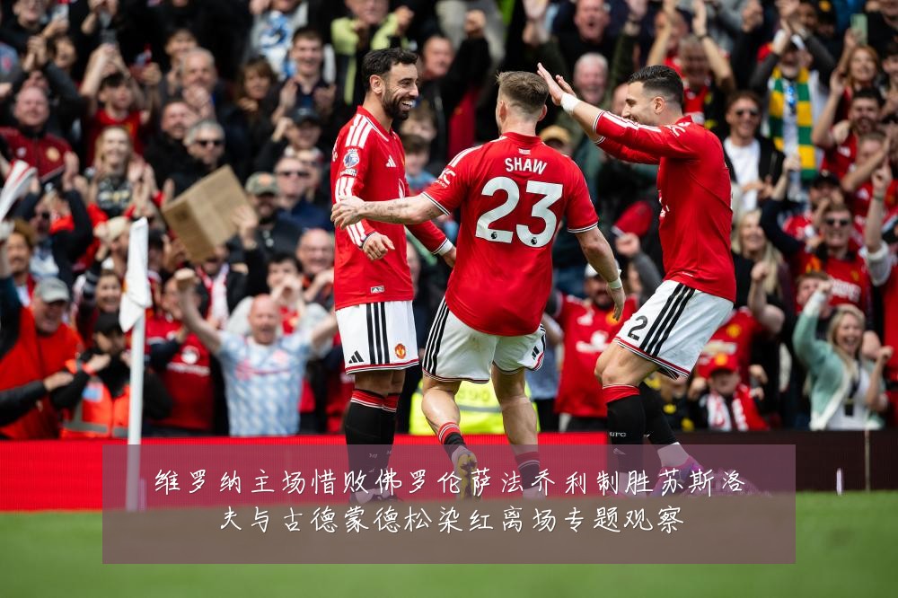 维罗纳主场惜败佛罗伦萨法乔利制胜苏斯洛夫与古德蒙德松染红离场专题观察